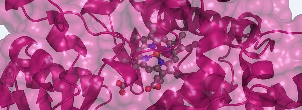 S9 Cofactor Solution for Metabolic Activation